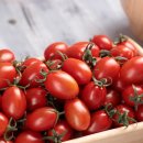 싱싱한마켓 이미지