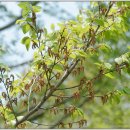 소사4로 이미지