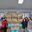 조야분소 이미지