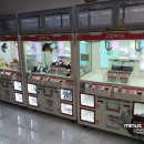 둘리게임랜드 이미지