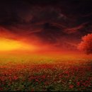 A song of  이미지