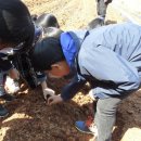 남창초등학교 이미지