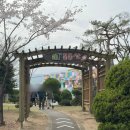 장미제일시장 | 4월 양재꽃시장, 휴무일 가격 장미가시 제거방법