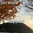 유수지공원주차장 화장실 | [대구 달서구] 🍂 대구 가을에 가볼만한 곳! 억새 명소 ‘대명유수지’ 후기(무료 주차)