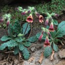 동의보감해독한의원 이미지