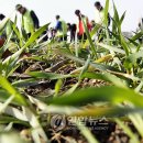 한강시민공원(화훼단지) 이미지