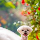 다미인성형외과의원 이미지