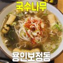 국수나무보정점