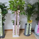 전국화학노동조합연맹 유진화학 노동조합 이미지