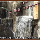 꽃모란 이미지