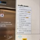 KNOLLO(놀로) | [진돗개 목화] 놀로 행동클리닉 후기 | 내돈내산 | 설채현 수의사 상담 후기 (0회차)