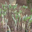 참살이농원 이미지