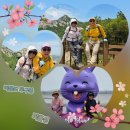 1박2일 !! 천사(1004)의 섬 다도해 국립공원 전남 신안군 비금도&amp;도초도 섬여행!! 이미지