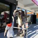 마실게임랜드 이미지