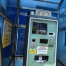 2호 체육공원(봉선체육공원) | 서울 매화 명소 하동매실거리 개화 현황, 주차팁 반려견 산책 코스 총정리