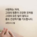 오월에숲