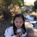 서운농장 이미지