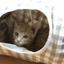 (주)라크루뜨 이미지