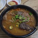 안동기사식당 | [경북 안동] 전현무계획 소개 맛집 옥야식당 내돈내산 방문후기