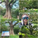 두륜산(703m)