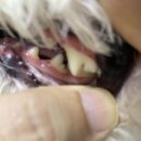 중계이오동물병원 이미지