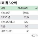 가상화폐, 금융시장의 새로운 쓰나미 이미지