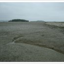 비금농협 파머스마켓 이미지