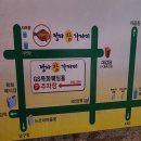 정자참가자미 이미지
