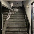 치앙마이 여자 혼자 여행 숙소 | 0.5박 추천 호스텔 바이 베드(The Common Hostel)