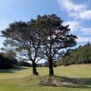 빅토리아일반대중골프장 | 일본골프여행 2색 나고야골프장 토요타CC 그린CC 골프패키지 정보 라운딩후기