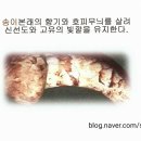 팔공농산