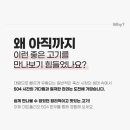 미트폴리오