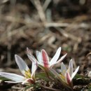 국사봉목장 이미지