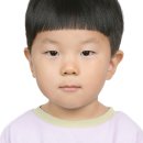 봄;1299스튜디오 이미지