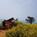 백야도블루베리민박 이미지