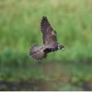 동림환경 이미지