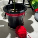 (주)송파아구 | [2025블챌] 연말 바쁘다 바빠!