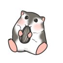 특별한 동물가게 이미지