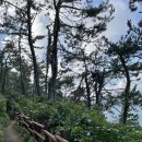 이기대수변공원 안내 이미지