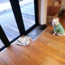 해뜰하늘펜션 이미지