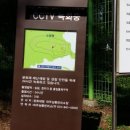 영장1리 이미지