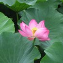 곡성-009 이미지