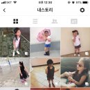 다겸플라워