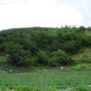 주식회사 태원건설 이미지