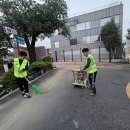앞 횡단보도 | 차선도색 서울 정독도서관 진입로 융착식 황색 라인 횡단보도 시공 후기