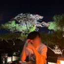 하루하나문민철의원 | 압구정 다이어트 병원 ' 제로의원 ' 지방분해주사 5회차 솔직후기