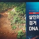 미제뜰 Daum카페