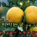 농업회사법인 (주)태반의땅 제주