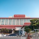 부산 웨스틴 조선호텔 까밀리아 조식 해피아워 해운대 숙박 후기