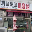 까꼬뽀꼬 네이버블로그